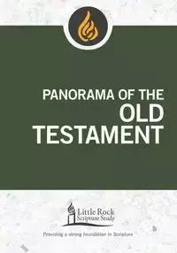 Panorama of the Old Testament - Stephen Binz J