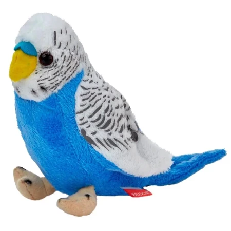 Papuga falista biało-niebieska 13cm - Beppe