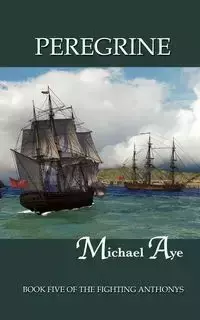 Peregrine - Michael Aye