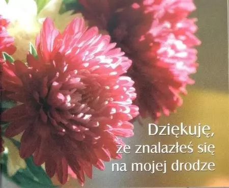 Perełka 182 - Dziękuję, że znalazłeś się na... - praca zbiorowa