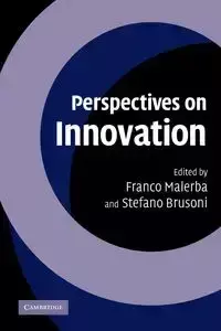 Perspectives on Innovation - Malerba Franco