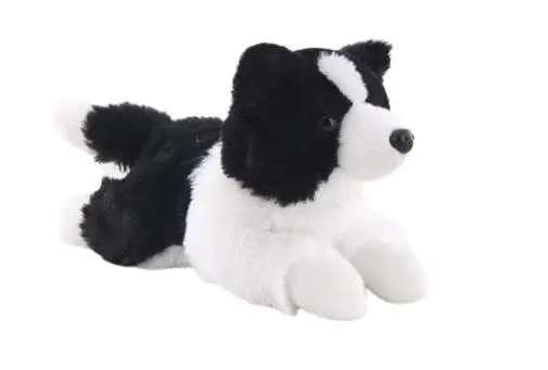 Pies 25cm Border Collie - Madej