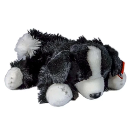 Pies Border Collie 30cm - Anek