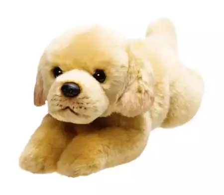Pies Labrador biszkoptowy 30 cm - SUKI plusz