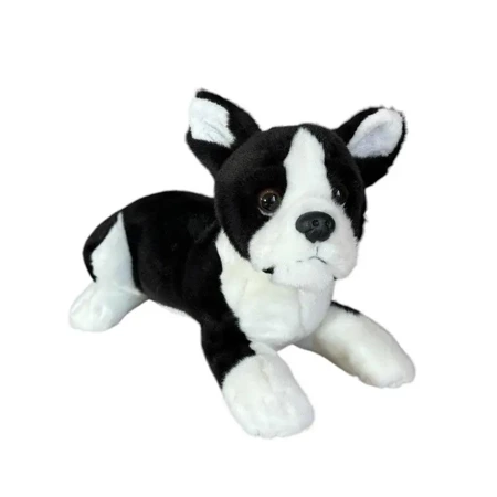 Pies boston terrier 28cm - Dubi