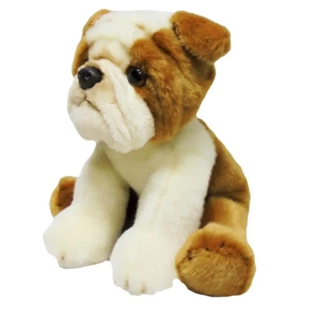 Pies bull dog 30cm - Anek