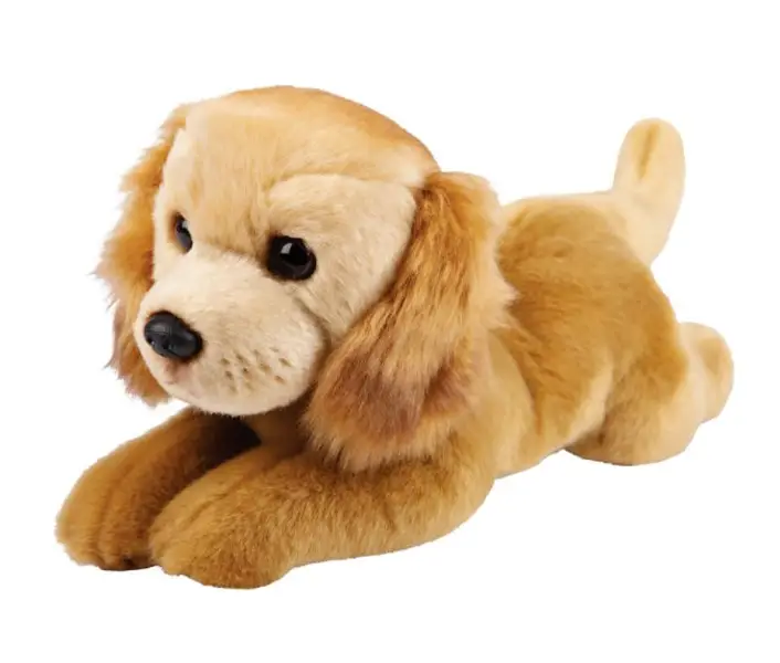 Pies golden retriever - SUKI plusz