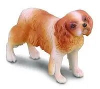 Pies rasy Spaniel Cavalier King Charles - Collecta