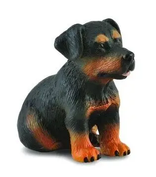 Pies rottweiler szczeniak - Collecta