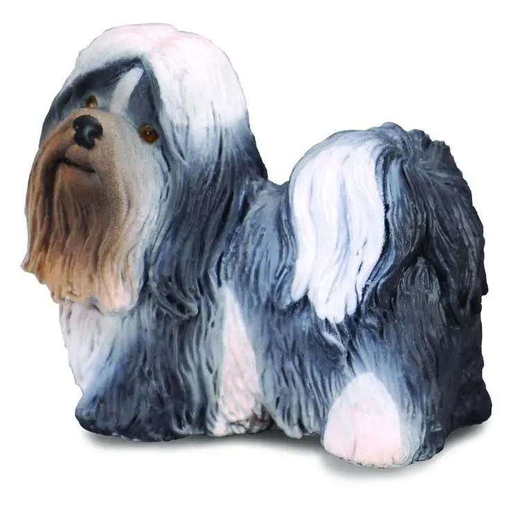 Pies shih tzu - Collecta