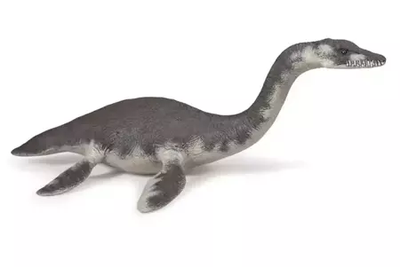 Plesiosaurus - PAPO