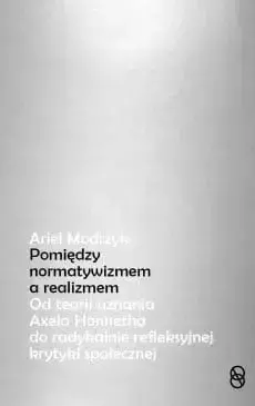 Pomiędzy normatywizmem a realizmem - Ariel Modrzyk