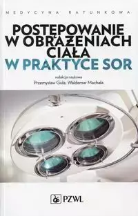 Postępowanie w obrażeniach ciała w praktyce SOR - Guła Przemysław, Machała Waldemar