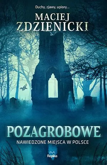 Pozagrobowe. Nawiedzone miejsca w Polsce - Maciej Zdzienicki