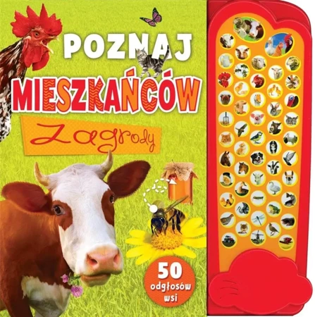 Poznaj mieszkańców zagrody - praca zbiorowa