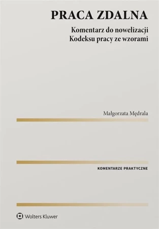 Praca zdalna. Komentarz do nowelizacji kodeksu - Małgorzata Mędrala