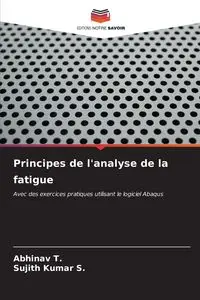 Principes de l'analyse de la fatigue - T. Abhinav