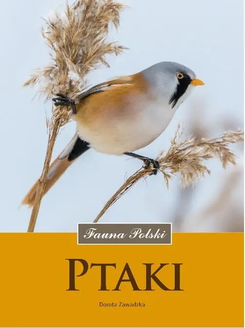 Ptaki. Fauna Polski - Dorota Zawadzka