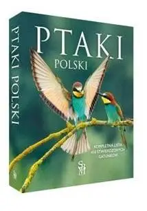 Ptaki Polski - Dominik Marchowski