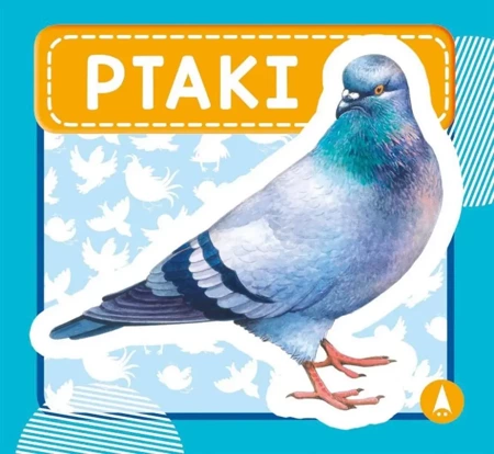 Ptaki - Wydawnictwo Skrzat