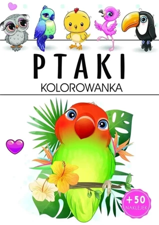 Ptaki - kolorowanka - praca zbiorowa