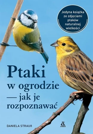 Ptaki w ogrodzie jak je rozpoznawać - Daniela Strauss