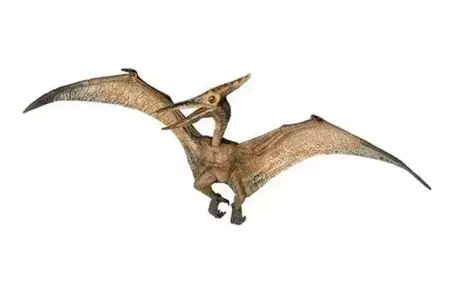 Pteranodon - PAPO