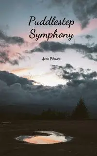 Puddlestep Symphony - Aron Pilviste