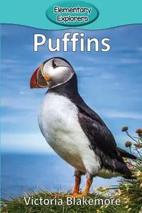 Puffins - Victoria Blakemore