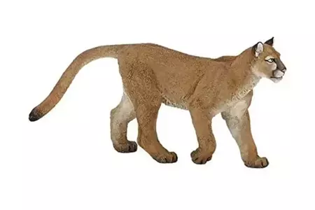 Puma - PAPO