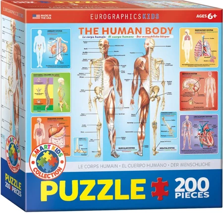 Puzzle 100 Smartkids The Human Body 6200-1000 - Eurographics