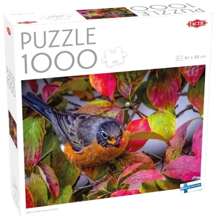 Puzzle 1000 Robin w jesiennych liściach - Tactic