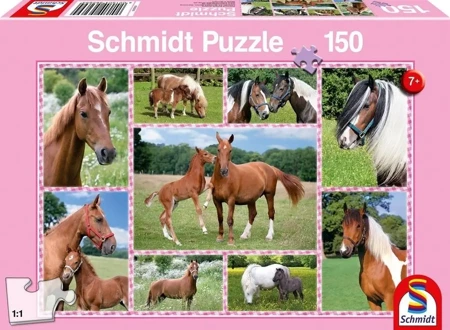 Puzzle 150 Konie G3 - Schmidt