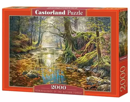 Puzzle 2000 Wspomnienie z jesiennego lasu CASTOR - Castorland