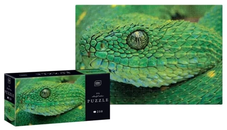 Puzzle 250 Colourful Nature 4 Snake - INTERDRUK