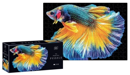 Puzzle 250 Colourful Nature 6 Fish - INTERDRUK