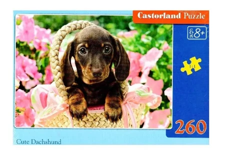 Puzzle 260 Cute Dachshund CASTOR - Castorland