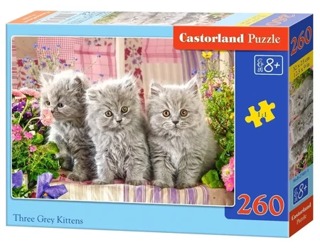 Puzzle 260 Three Grey Kittens CASTOR - Castorland