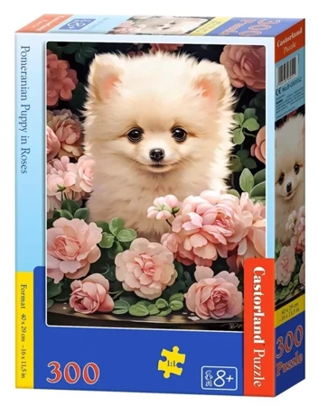 Puzzle 300 Pomeranian Puppy in Roses CASTOR - Castorland