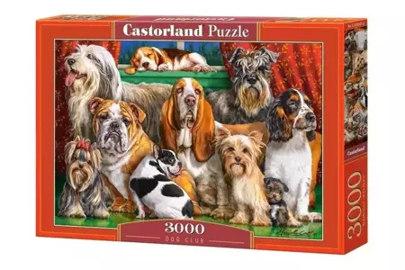 Puzzle 3000 Dog Club CASTOR - Castorland