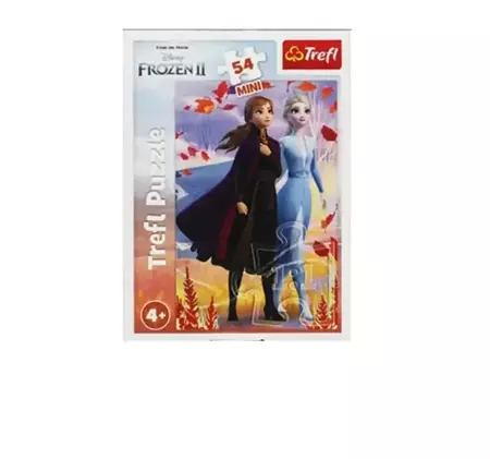 Puzzle 54 mini W świecie Anny i Elsy 2 TREFL