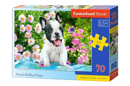 Puzzle 70 Szczeniak buldoga francuskiego CASTOR - Castorland