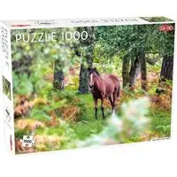 Puzzle Wild Horses, New Forest 1000 - Tactic