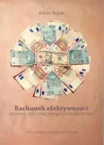 Rachunek efektywności systemu informacyjnego... - Adam Bujak