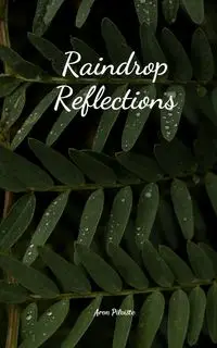 Raindrop Reflections - Aron Pilviste