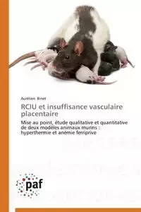 Rciu et insuffisance vasculaire placentaire - BINET-A