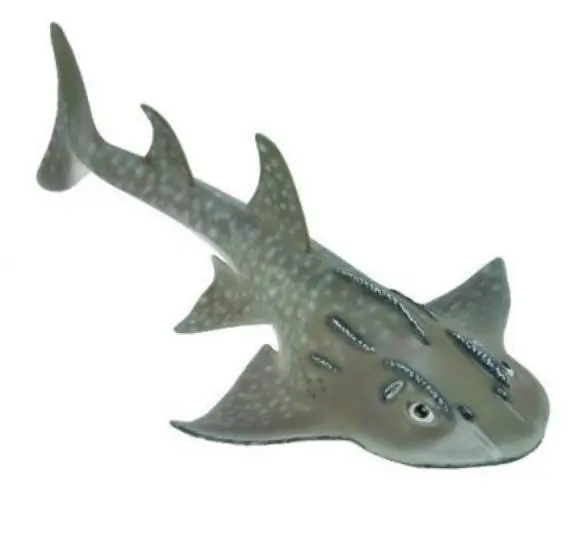 Rekin Bowmouth Guitarfish - COLLECTA