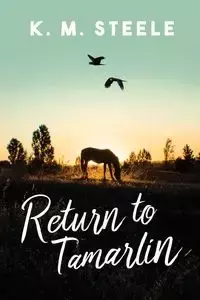 Return to Tamarlin - Steele K. M.