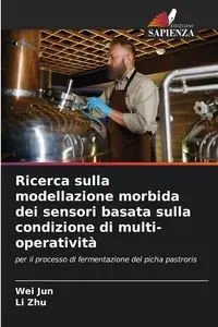 Ricerca sulla modellazione morbida dei sensori basata sulla condizione di multi-operatività - Wei Jun