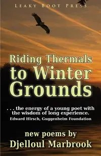 Riding Thermals to Winter Grounds - Marbrook Djelloul